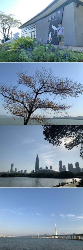 2020第三届“趣徒深湾”深圳湾徒步活动精彩回顾