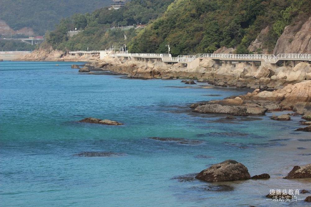 12月19日深圳海滨栈道亲子徒步活动精彩回顾