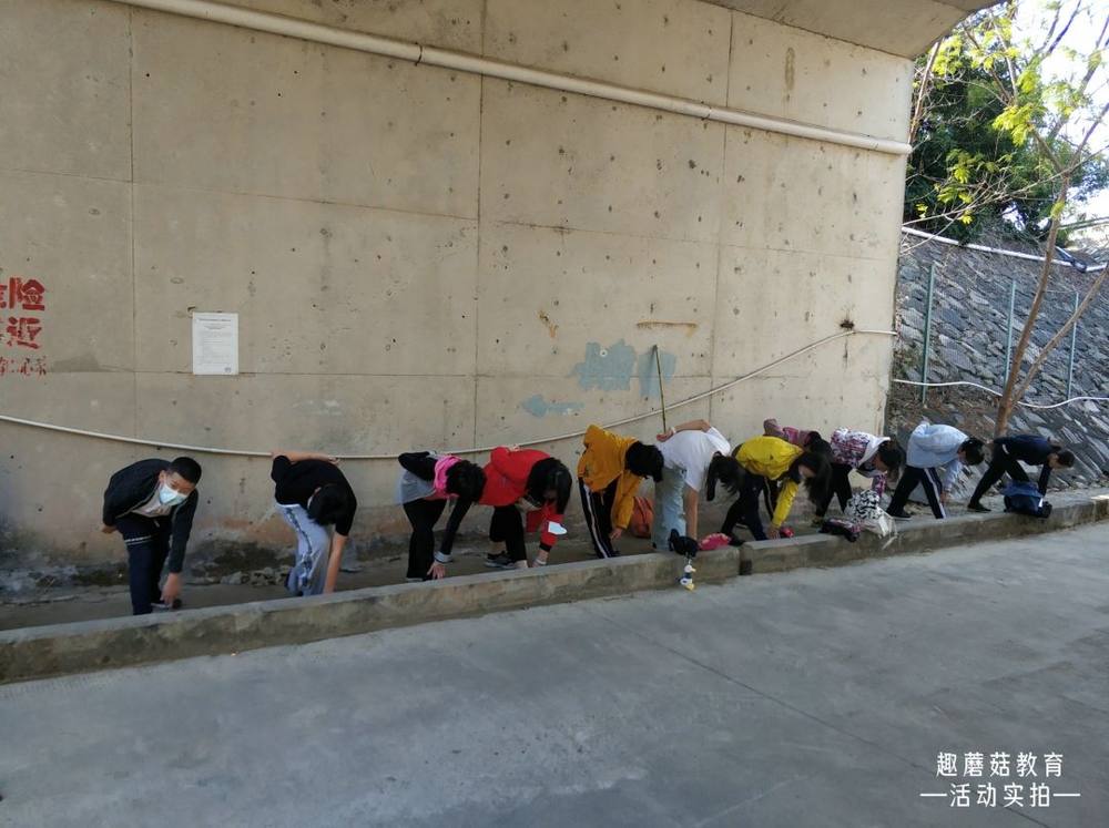 2021年1月31日深圳马峦山郊野公园亲子登山活动精彩回顾