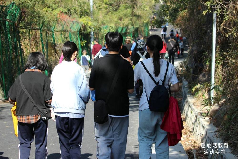 2021年1月31日深圳马峦山郊野公园亲子登山活动精彩回顾