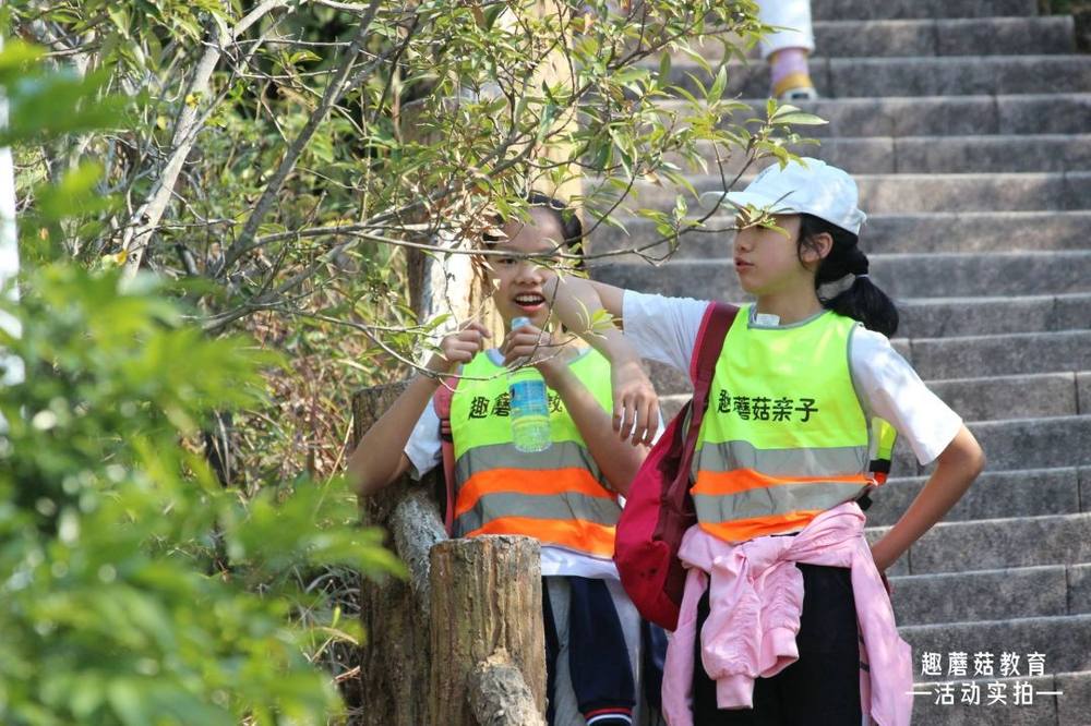2021年2月16日深圳马峦山郊野公园亲子登山活动精彩回顾