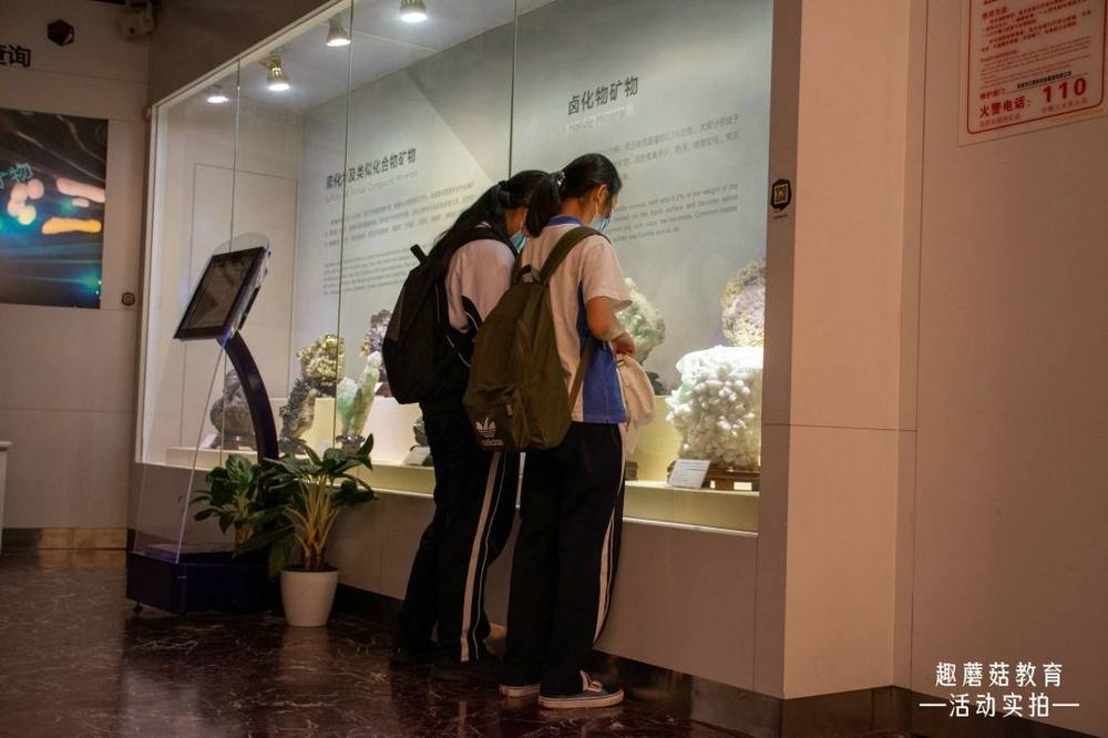 2021年3月20日宝安中学初二班级春游:大鹏国家地质公园+青少年CS警匪战+卡丁车竞技