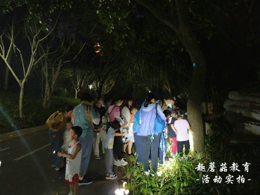 5月22日园博园亲子夜观,与孩子们一起去探索夜晚的神秘世界!