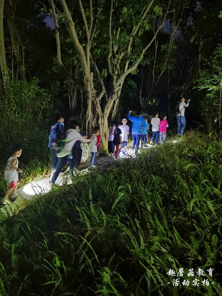 5月22日园博园亲子夜观,与孩子们一起去探索夜晚的神秘世界!