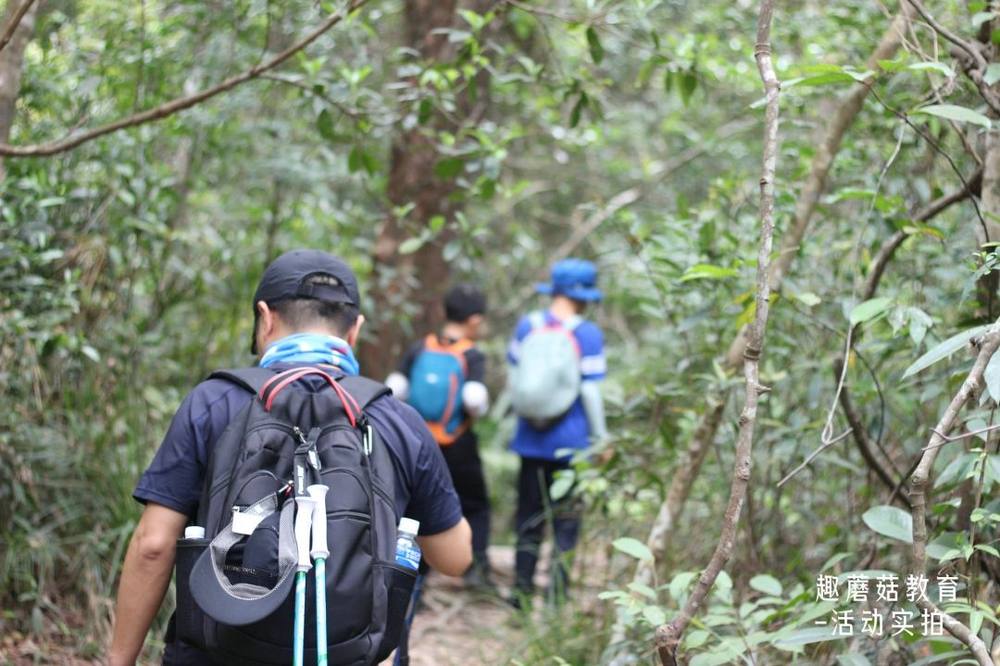 2021年4月4日深圳马峦山郊野公园亲子登山活动精彩回顾