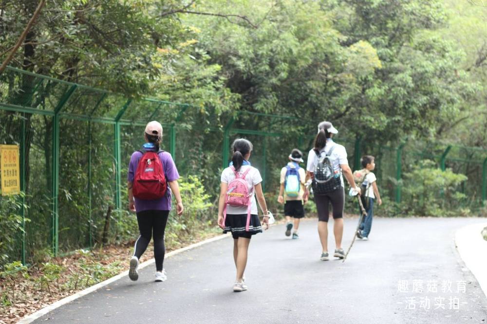 2021年4月4日深圳马峦山郊野公园亲子登山活动精彩回顾