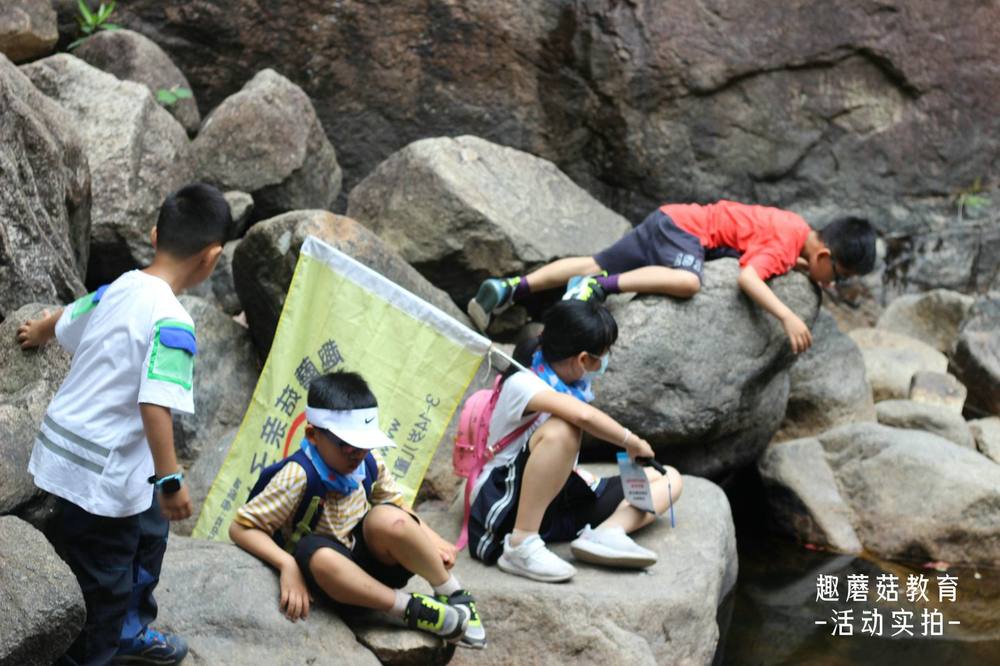 2021年4月4日深圳马峦山郊野公园亲子登山活动精彩回顾