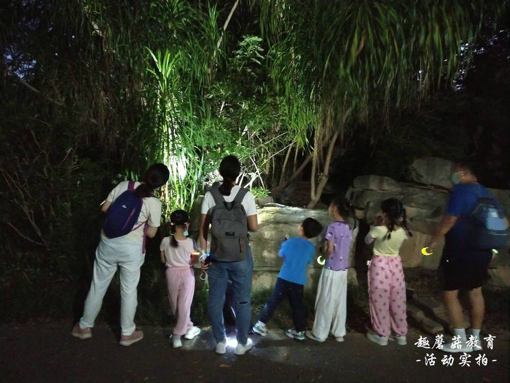 6月19日园博园亲子夜观,与孩子们一起去探索夜晚的神秘世界!
