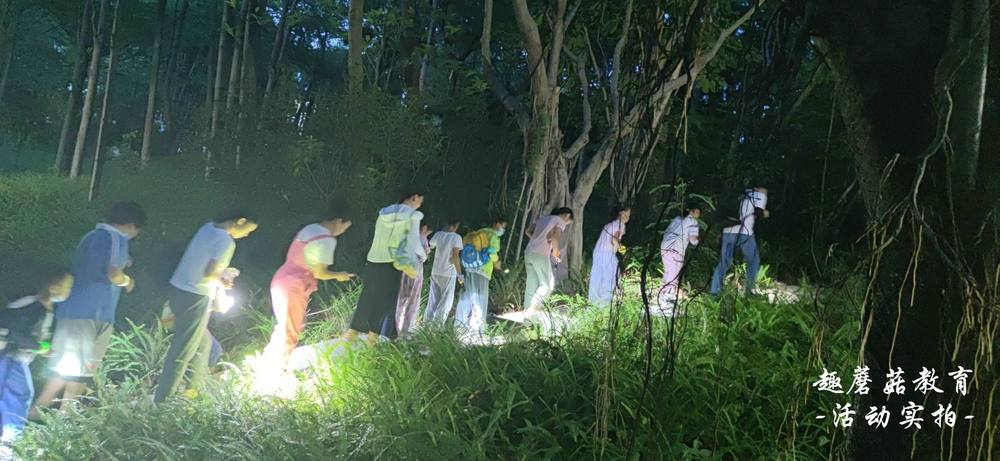 7月3日园博园亲子夜观，与孩子们一起去探索夜晚的神秘世界！