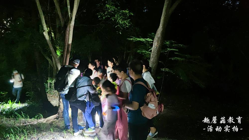 7月3日园博园亲子夜观，与孩子们一起去探索夜晚的神秘世界！
