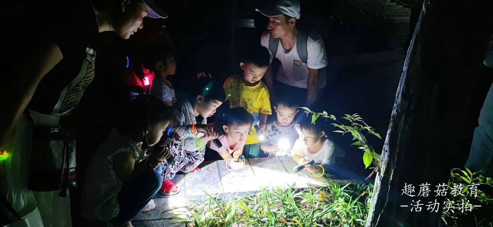 7月15日园博园亲子夜观，与孩子们一起去探索夜晚的神秘世界！