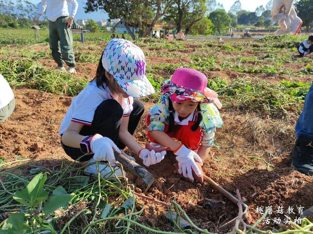 11.20深圳大鹏亲子秋游活动精彩回顾