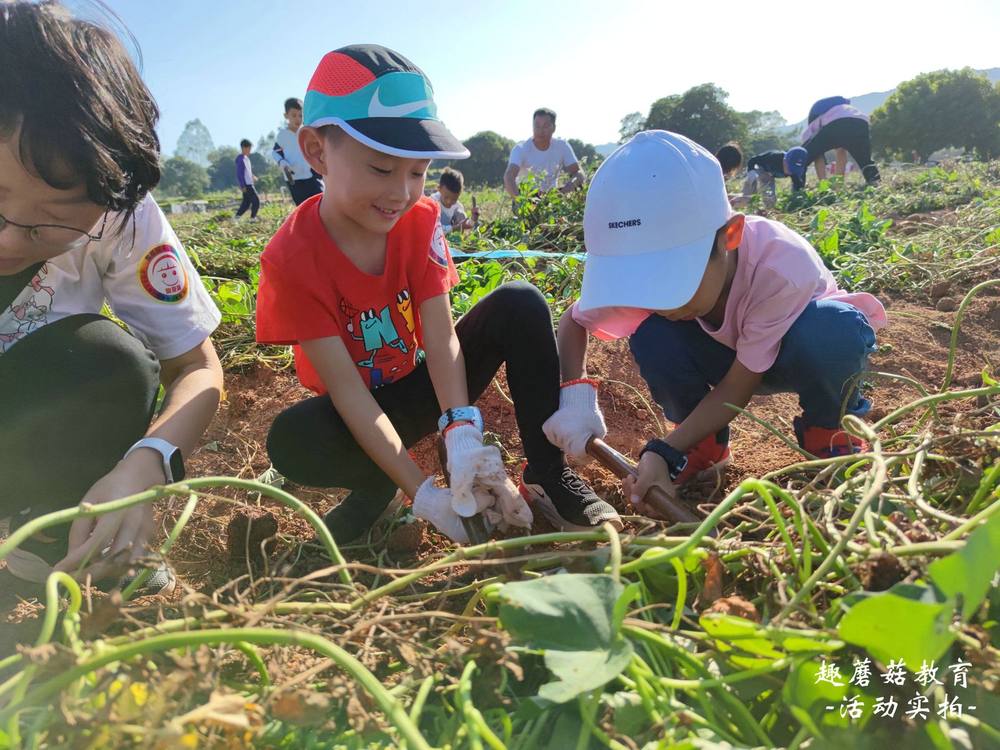 11.20深圳大鹏亲子秋游活动精彩回顾