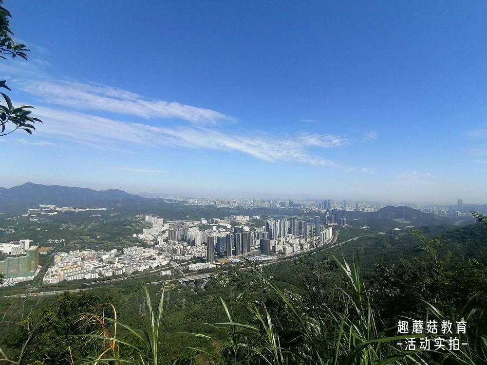 2021年11月20日『野小子』自然探索营塘朗山郊野径,活动精彩回顾
