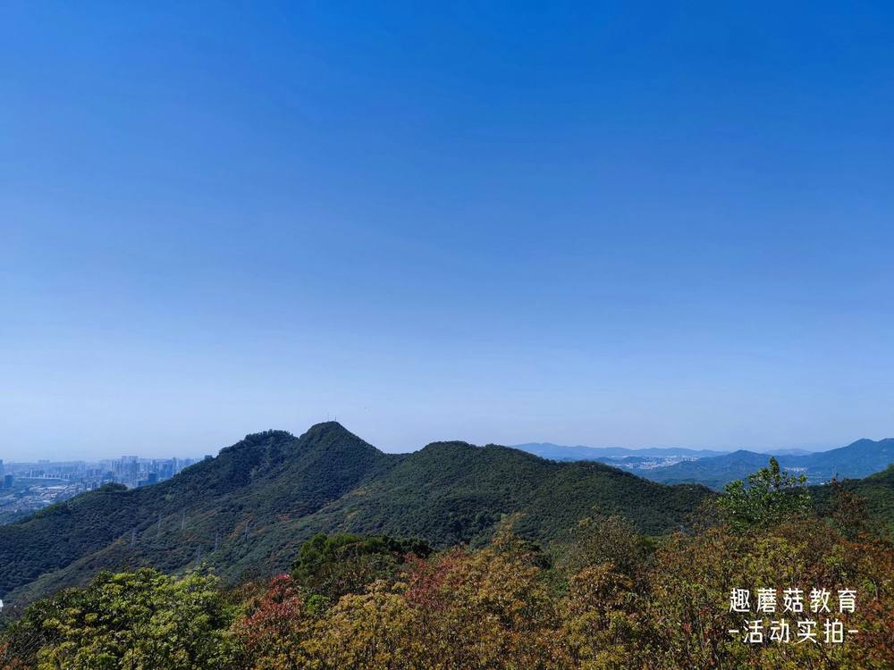 2022年3月9日『自然探索营』梅语亭站,活动精彩回顾