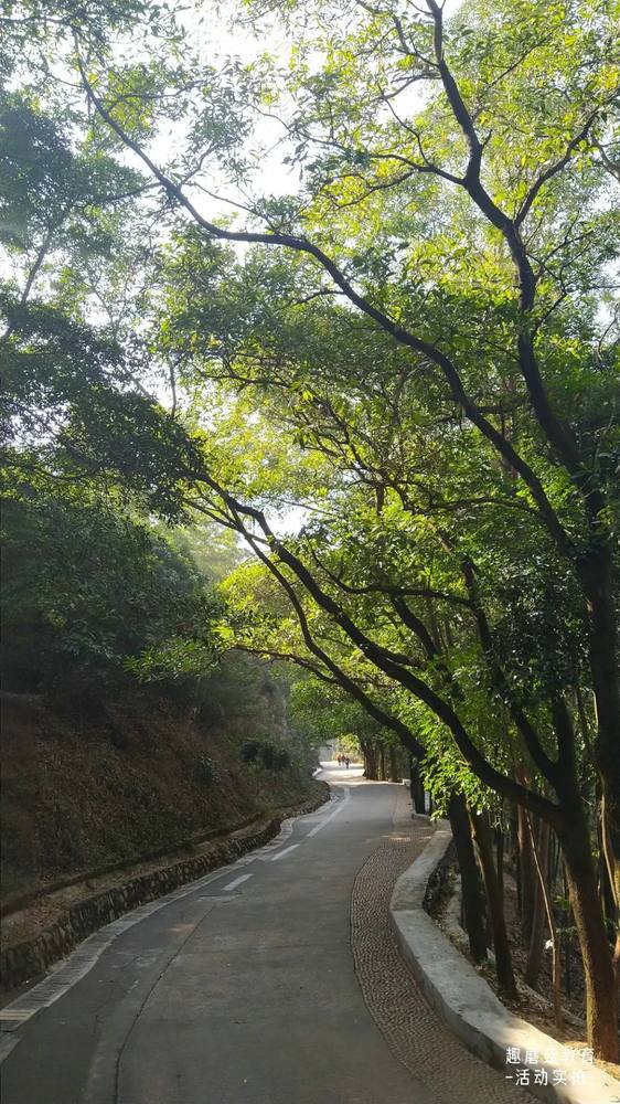 2022年4月5日『自然探索营』大南山站,活动精彩回顾