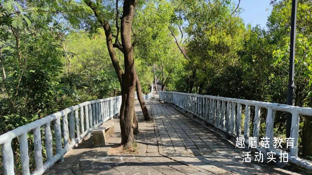 2022年4月16日『自然探索营』大南山站,活动精彩回顾