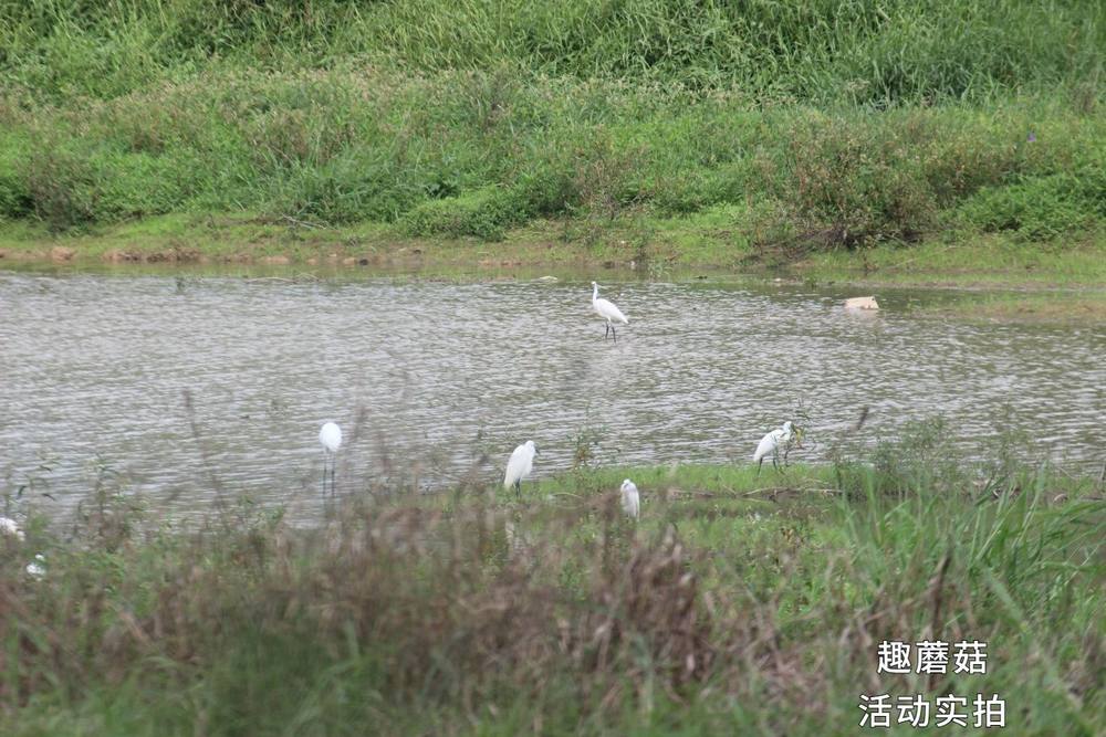 2024年4月4日追风少年,石岩湖20公里骑行活动精彩回顾