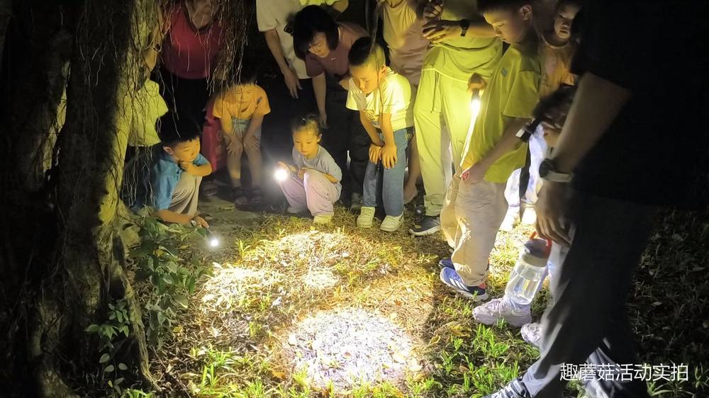 趣蘑菇6.22中山公园亲子夜观活动精彩回顾