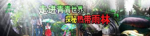 2021年3月20日阳光文莛幼儿园大班亲子春游，走进青青世界，探秘热带雨林