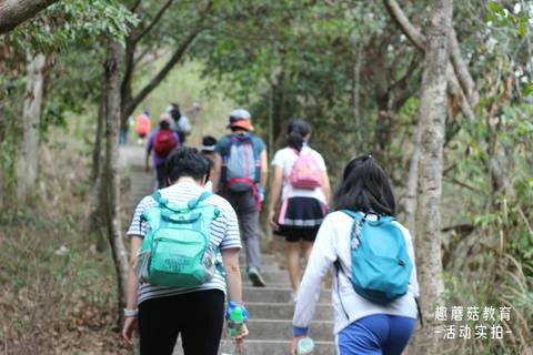 2021年4月4日深圳马峦山郊野公园亲子登山活动精彩回顾