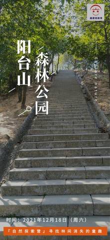 2021年12月18日『野小子』自然探索营阳台山森林公园，活动精彩回顾