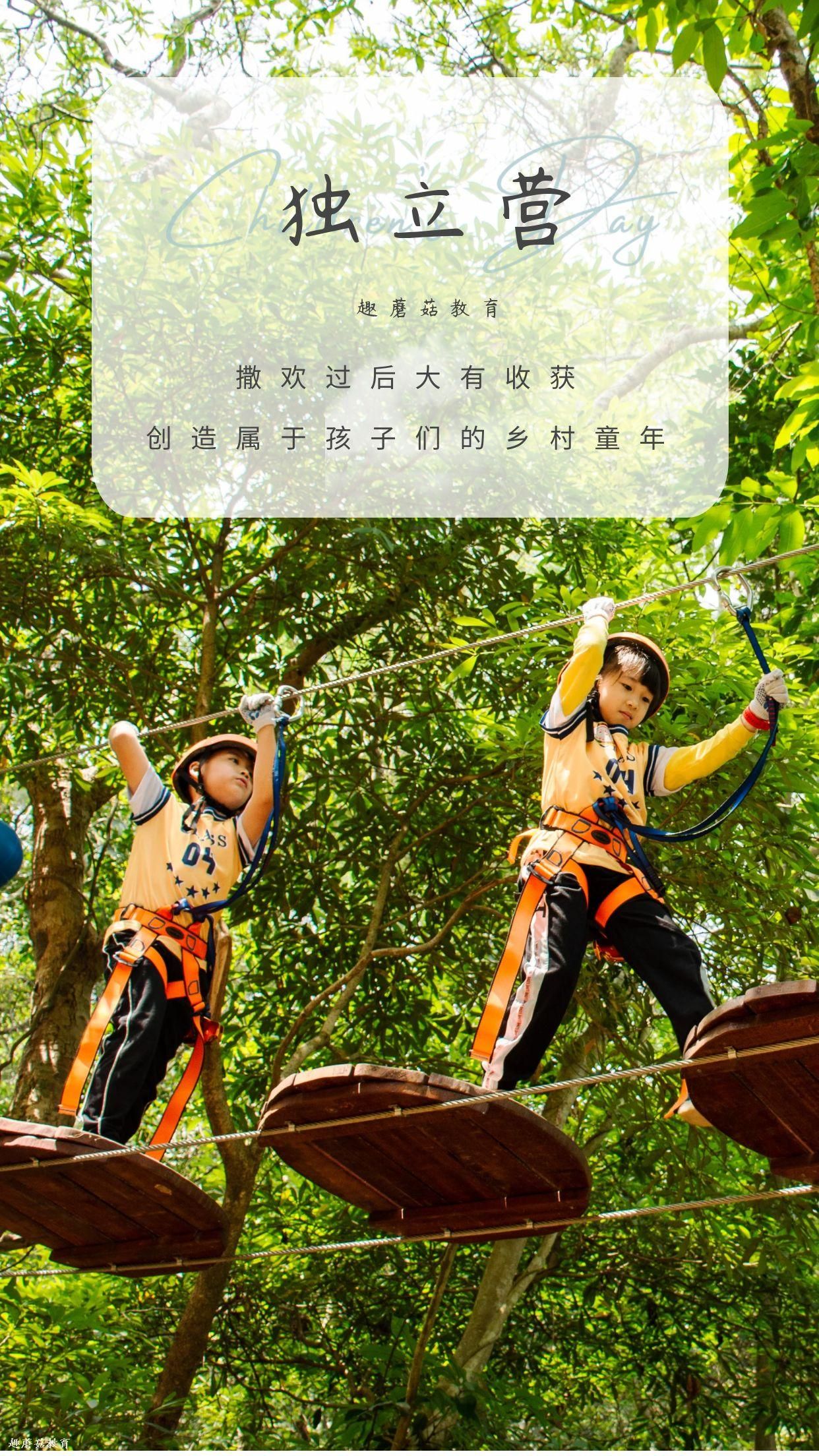 Forest Adventure Day Camp