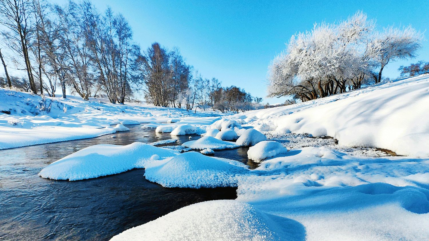 Snow Country, Reached by High-Speed Train