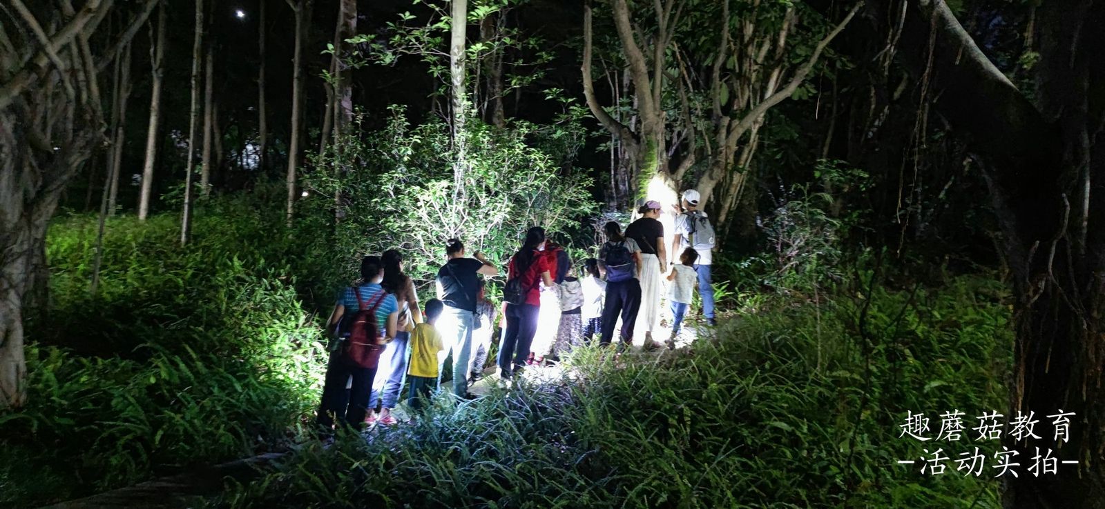 Families gathering in the dark with headlamps