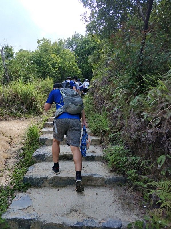 Climbing the stone steps through the forest